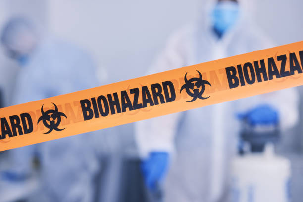 Professional Hoarding Cleanup technician working in Frankfort, MI